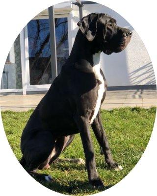 Doris Von Siedlinghausen