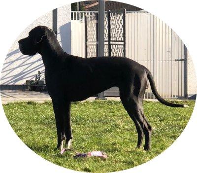 Doris Von Siedlinghausen