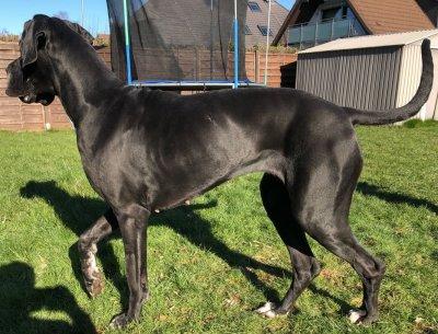 Doris Von Siedlinghausen