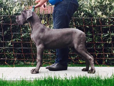 Jamal-B Summa cum Laude