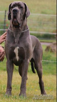 Jamal-B Summa cum Laude