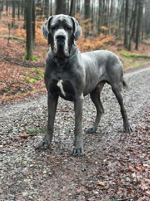 Jamal-B Summa cum Laude