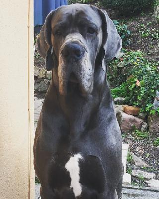 Jamal-B Summa cum Laude