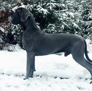 Jamal-B Summa cum Laude