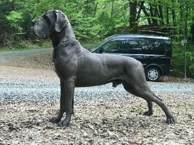 Jamal-B Summa cum Laude