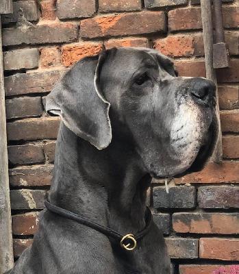 Jamal-B Summa cum Laude