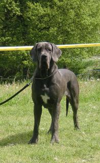 Madame Milva vom Rmersee