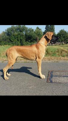 Xsara vom Herstallturm