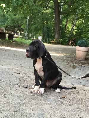 Wissen von Schlesien