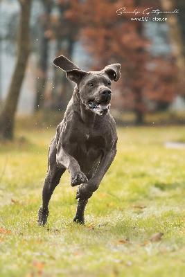 Pandora VON DER WOLFSHÖHLE