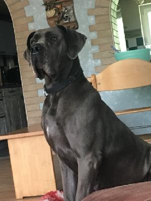 Pandora VON DER WOLFSHÖHLE