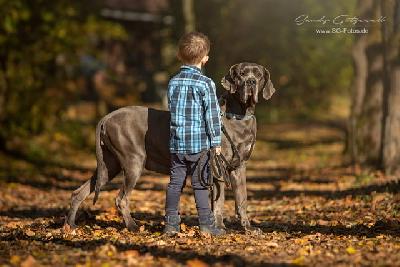 Pandora VON DER WOLFSHÖHLE
