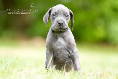 Paula von der Wolfshhle