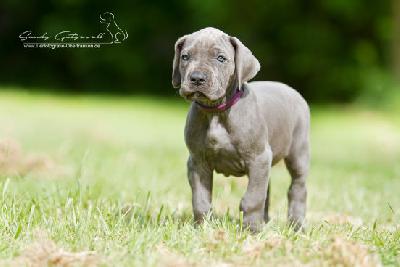 Pittiplatsch von der Wolfshhle