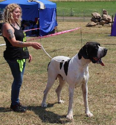 Ch Lord vun den Schmussidogs