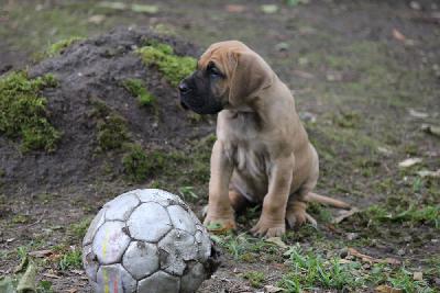 Elize von den Blautannen
