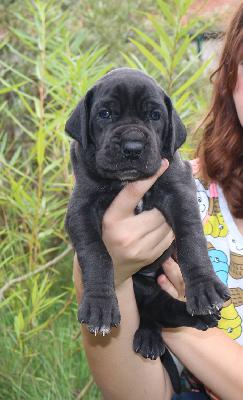 Bijou vom Altm�hlerhof