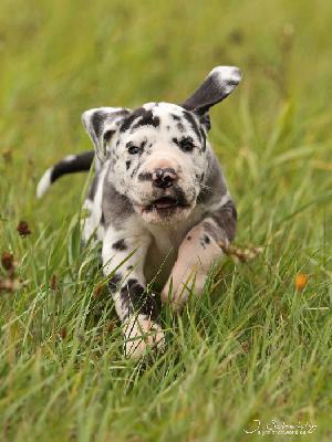 Business vom Altmhlerhof