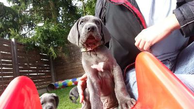 Odysseus Vom Edersee