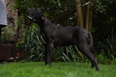 Dimata Hari v. Santa Mira