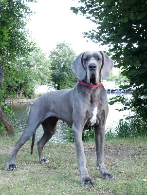 Ch Zahltagszensi Vom Hause Wagner