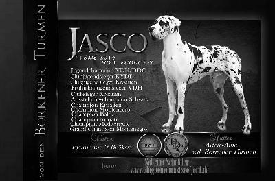 Ch Jasko von den Borkener Türmen