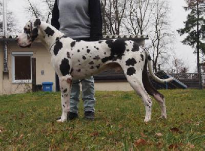 Eliot van�t Br�kske