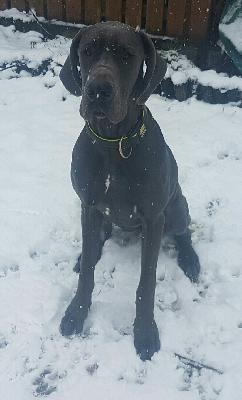 Eleni vom Ellenb�hler Hof