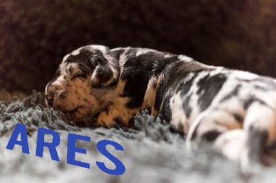 Arthur von Friedreich den Groen