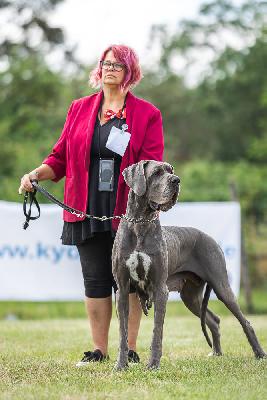 Ch BungaBunga Vom Hause Wagner