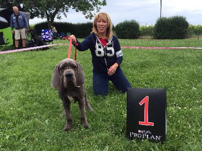 Babbeltante Vom Hause Wagner