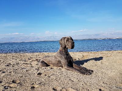 Burgfr�ulein Lotte Vom Hause Wagner