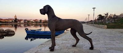 Burgfrulein Lotte Vom Hause Wagner