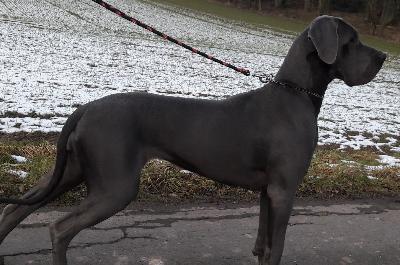 Princess Anne Vom Edersee