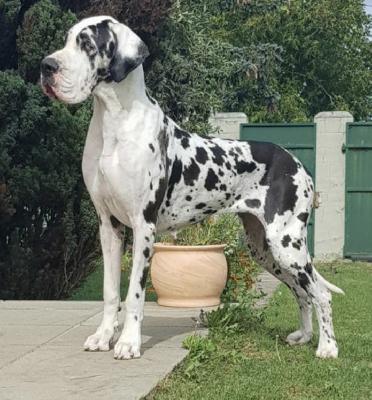 Florentina Of Love Generation