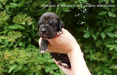 ........................ Vom Waldfrieden