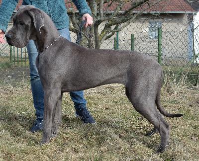 Irma vom Ysenburger Bergland