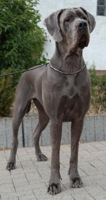 Ilza vom Ysenburger Bergland