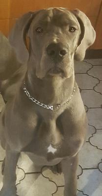 Perle Von Den Elf Quellen