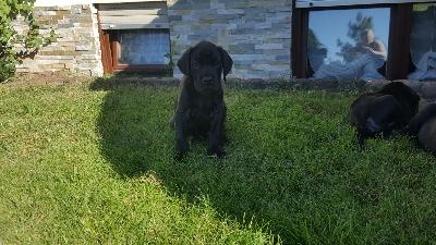 Carlos Vom Herstallturm