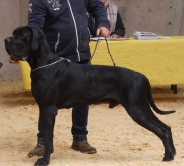 Carlos Vom Herstallturm