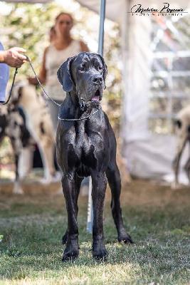 Carlos Vom Herstallturm