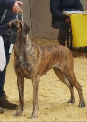 Chloe Vom Herstallturm