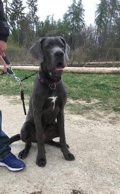 Cleopatra vom Altm�hlerhof