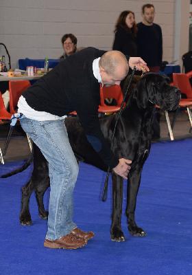 Ch Jezdec des Corolles DIbis