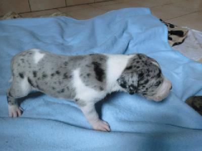 Nadja VON BAVARIA A.M.