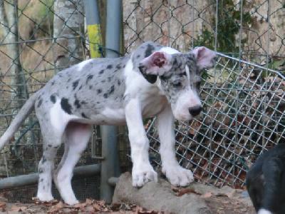 Nadja VON BAVARIA A.M.