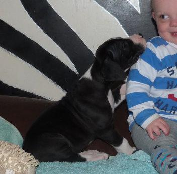 Surfer-Daisy von der Wolfsh�hle