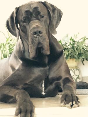 Vegas vom Herstallturm