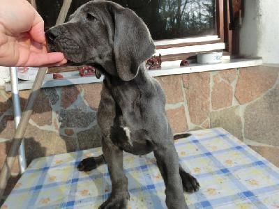 Otto von BAVARIA A.M.